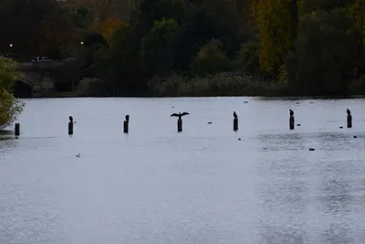 DSC_0552 (Large).JPG